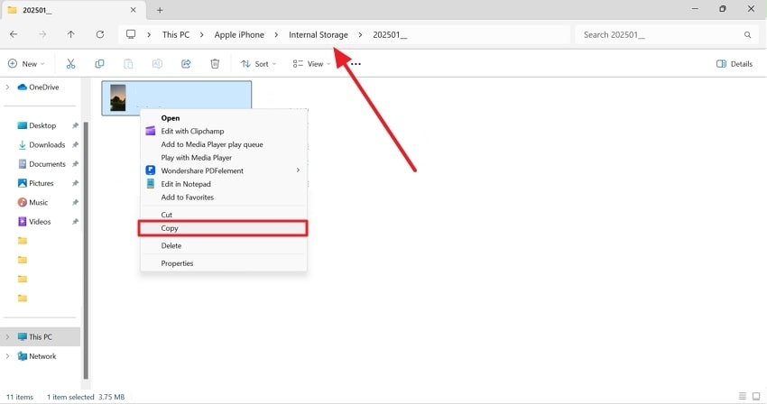 copy video accessed through path